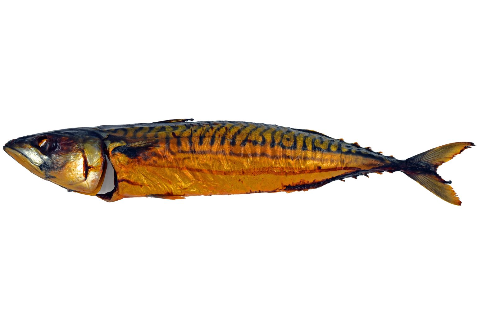 2 Gerookte makrelen / 2 Räucher Makrelen - Fishplaza